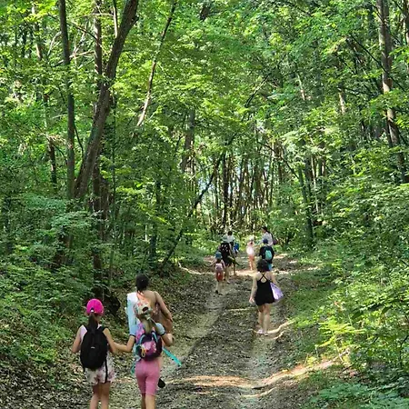 Wildwood Adventure Village Πανσιόν Σεβλίεβο